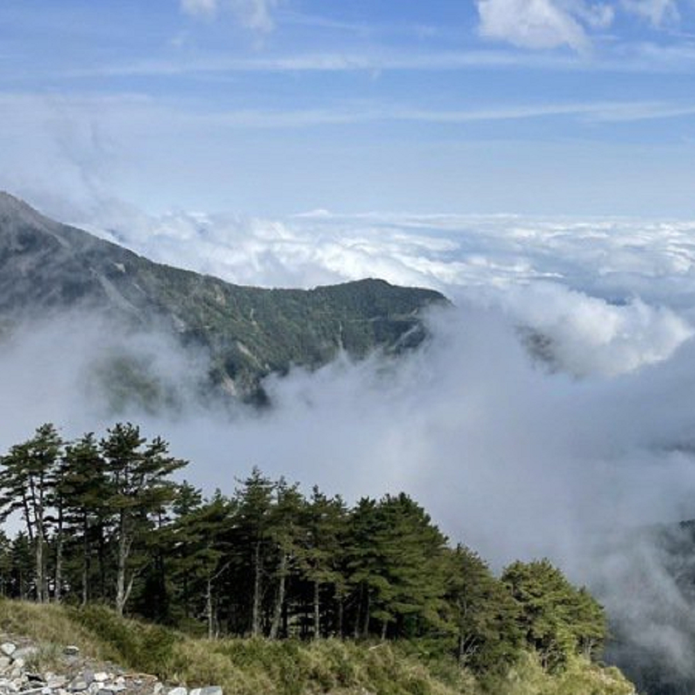 府城旅行社Rey的旅遊天地中橫南橫花東